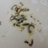 DSCN6708.JPG