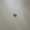 DSCN6716.JPG