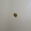 DSCN6717.JPG