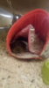 IMG-20180107-WA0051.jpeg