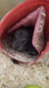 IMG-20180107-WA0054.jpeg