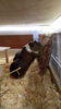 IMG-20171231-WA0069.jpeg