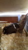 IMG-20171231-WA0065.jpeg