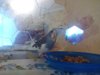 IMG_20180111_134442.jpg