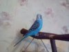 IMG_20180111_134501.jpg