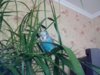 IMG_20171230_104954.jpg