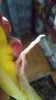 IMG_20180114_154242_HHT.jpg