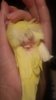 20180115_234842.jpg