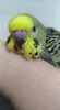 IMG_20180115_163759.jpg