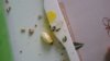 20180117_095934.jpg