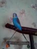 IMG_20180117_123027.jpg