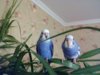 IMG_20171225_231053.jpg