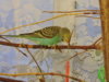 DSCN7803.jpg