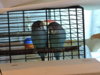 DSCN7812.jpg