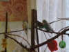 DSCN7845.jpg