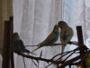 DSCN7849.jpg