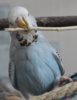 IMG_0477.JPG