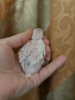 20180124_123920.jpg