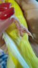 IMG_20180121_160350.jpg