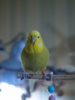 PC240004@0,25x.jpg