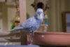 PC250143_1@0,25x.jpg