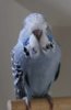 04 IMG_3444.JPG