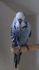 04 IMG_3455.JPG