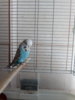 20180131_103851.jpg