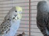 20180131_105752_Burst01.jpg