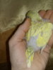 20180131_110525.jpg