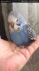Screenshot_20180201-082732.png