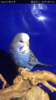 Screenshot_20180201-082601.png