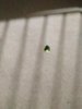 IMG_20180201_135338.jpg