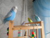 DSCN9425.JPG