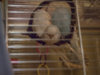 P1160007@0,25x.jpg