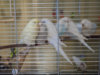 P1100004@0,25x.jpg