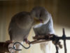 P2030106@0,25x.jpg