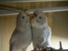 P2030125@0,25x.jpg