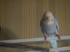 P2030246@0,25x.jpg