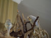 P2030102-2@0,25x.jpg
