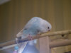 P2030012-2@0,25x.jpg