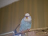 P2030013-2@0,25x.jpg