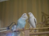 P2030098-2@0,25x.jpg