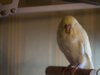 P2030244@0,25x.jpg