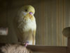 P2030194@0,25x.jpg