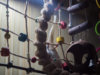 P2030105-2@0,25x.jpg
