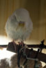 P2030052@0,5x.jpg