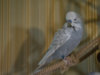 P2030239@0,25x.jpg