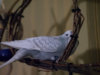 P2030143@0,25x.jpg