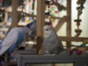 P2030094@0,25x.jpg